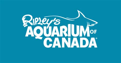 21 Best Ripleys Aquarium Coupons → 20 Off In November 2023