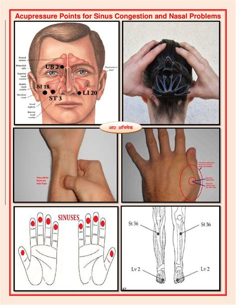 Acupressure Points For Sinus Congestion Sinuses And Nasal Problems साइनस कफ जमाव और नाक की