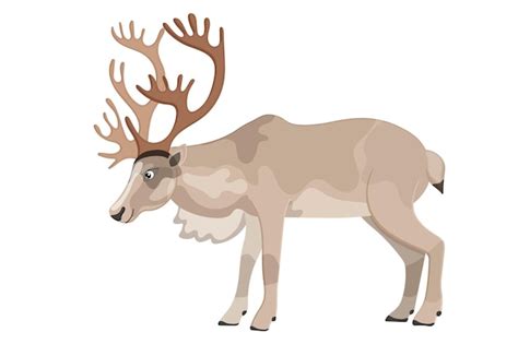 Premium Vector Cartoon Reindeer Image Cute Kind Animal North Zoo Deer