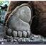 Bear Foot Stock Photo  Alamy