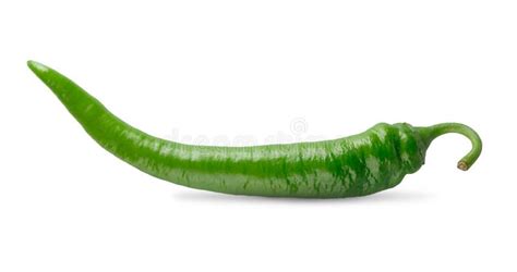 One Green Chili Pepper Closeup Isolated On White Background Stock Image