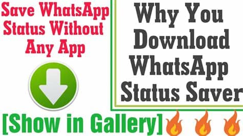 Looking for an app that can easily save video status and photo status fast and free? Why You Download WhatsApp Status Saver App | Don't ...