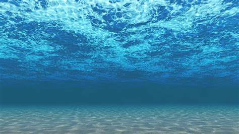 25 Perfect 4k Wallpaper Underwater You Can Download I