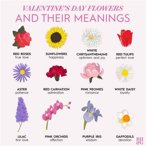 Types Of Rose Flowers And Their Meanings