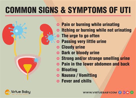 Virtue Baby Common Signs And Symptoms Of Uti