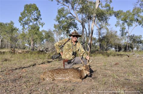 Inland Hunting Properties Hunting Chital Deer