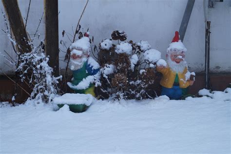 Gartenzwerge In Der Schockstarre Tja Im Winter Gibt Es Auch Schnee