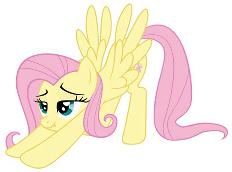 I Want To C Inside Fluttershy I Want To Cum Inside Rainbow Dash Know Your Meme