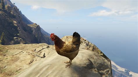 Chickens Gta Wiki The Grand Theft Auto Wiki Gta Iv San Andreas