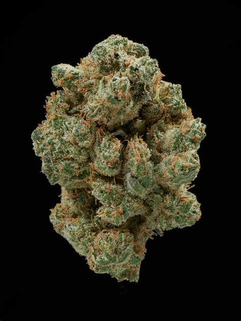 Blog The Best Strains Of All Time 100 Popular Cannabis Strains To