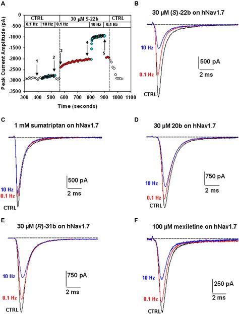 Frontiers | Inhibition of voltage-gated sodium channels by sumatriptan