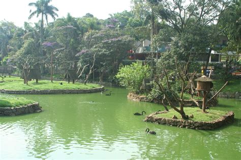 Visitantes Podem Conhecer Zoo E Jardim Botânico Em Passeio