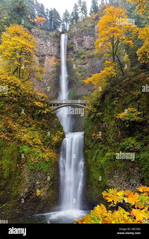 Fall Colors At Multnomah Falls In Columbia River Gorge Stock Photo Alamy