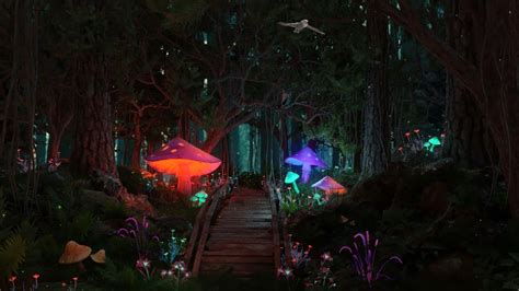 Enchanted Forest Music And Ambience Mystical Night Forest Youtube