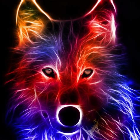 10 New Cool Wallpapers Of Wolves Full Hd 1920×1080 For Pc