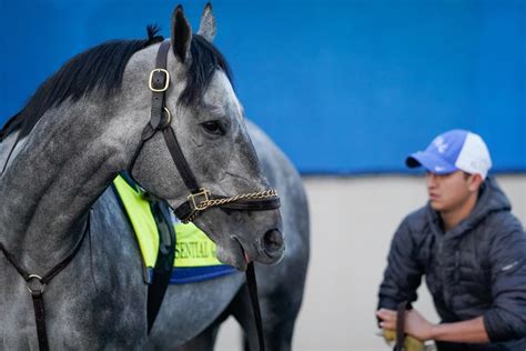 The 2021 kentucky derby preview comes with a little more normalcy this year than last year and they're off! Essential Quality early 2021 Kentucky Derby favorite ...