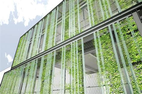 2432 Best Green Wall And Facade Images On Pinterest Vertical Gardens