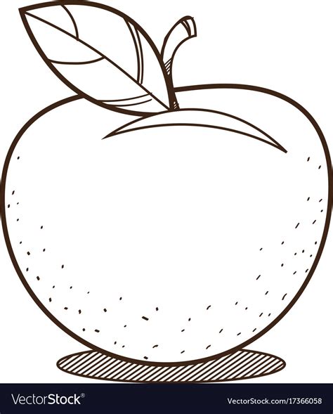Outline Pictures Of Fruits For Colouring Free Coloring Sheets To Print