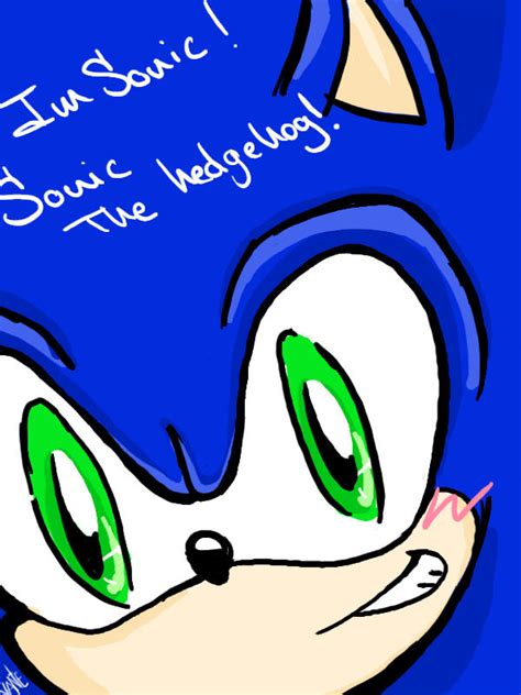 I Am Sonic The Hedgehog By Vanegaku On Deviantart
