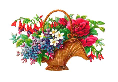 Antique Images Free Flower Basket Clip Art 2 Wicket