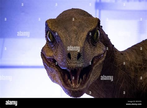 El Velociraptor De Jurassic Park Cocina Escena Fotografía De Stock Alamy