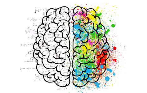 neuroplasticity and the 10 principles for remodeling our brain healflow elevated wellness