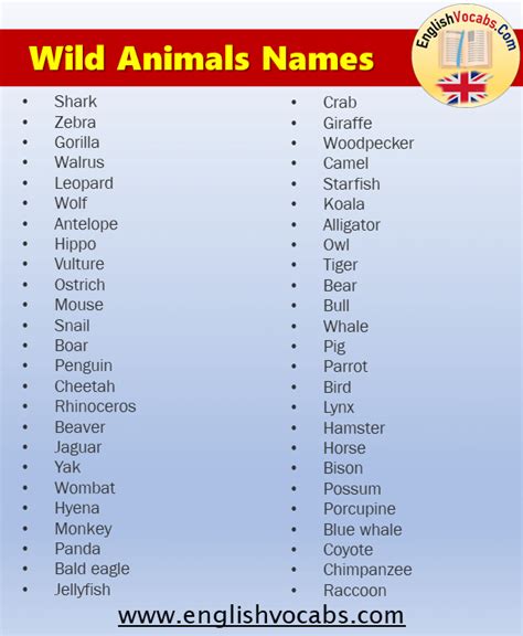 Animals Names List Archives English Vocabs