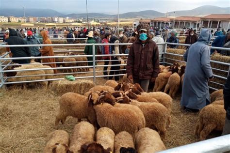 Aïd al adha sera fêté le vendredi 31 juillet 2020 qui correspond à 10 dhou al hijja 1441. Aid Al Adha: une série de mesures pour l'organisation de l ...
