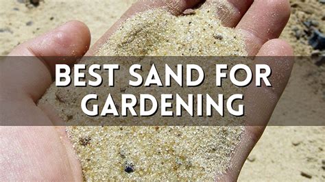5 Best Sand For Gardening With Potmix Reviews For Plants Indoorean