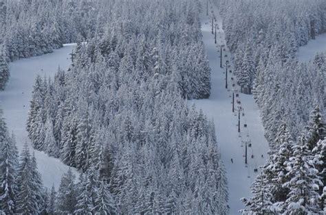 Mt Hood Skibowl Opens Multorpor Chairlift For Weekend Skiing