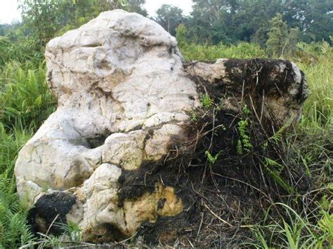 The name batu gajah ('batu' is stone and 'gajah' is elephant in the malay language), is presumably derived from two large boulders that resembled elephants found along the kinta river. SUMPAHAN TOK KADOK: LAGENDA TASIK AIR MATI DAN SUMPAHAN ...