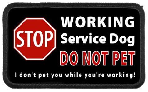 21 Best Service Dog Signs Images On Pinterest Service Dog Training