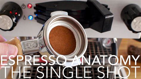 Espresso Anatomy The Single Shot Youtube