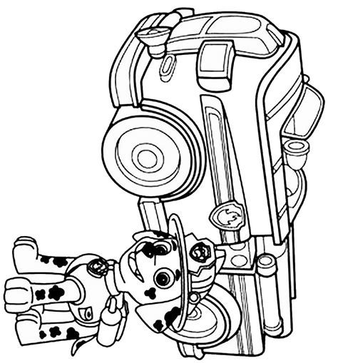 A team of brave puppies together with a smart boy ryder carry out missions to. Paw Patrol Coloring Pages - Birthday Printable