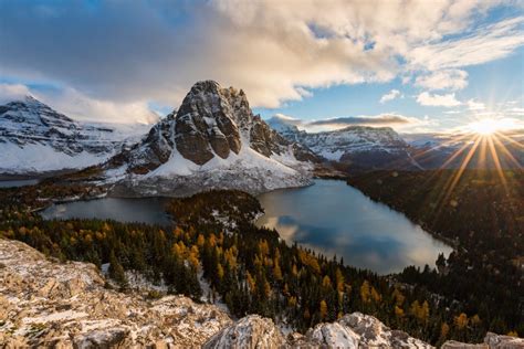13 Larch Photos From The Canadian Rockies Monika Deviat Photography