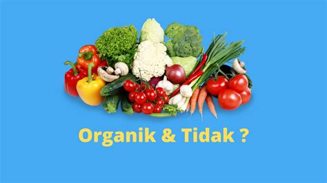 Perbedaan Sayur Organik Dan Non Organik Paling Penting Ziky Tm