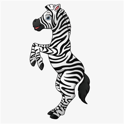 Download Zebra Vector at GetDrawings | Free download
