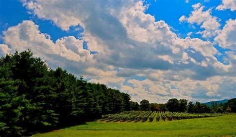 Experience Virginias Rappahannock County Wine Trail