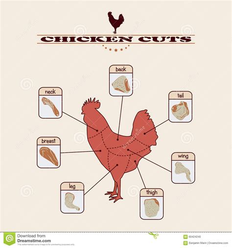 A Simple Chart About Chicken Cuts Chicken Illustration Chicken Factory