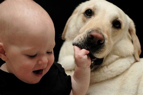 Cute Baby Playing With Dog