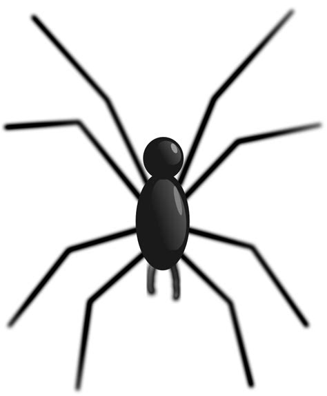 Free Spider Illustrations, Download Free Spider Illustrations png images, Free ClipArts on ...