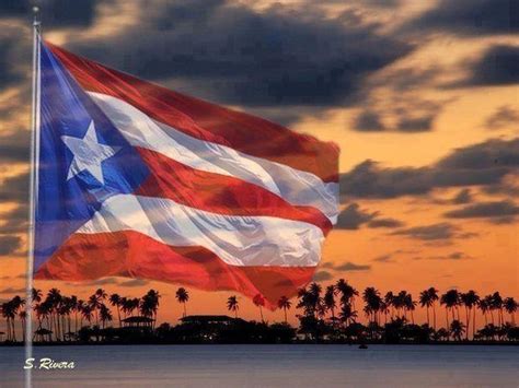 Pin By Irma On ¸ ♥ ¸¸ ♥ ♥ ¸¸ ♥ Puerto Rico ¸ ♥ ¸¸ ♥ ♥