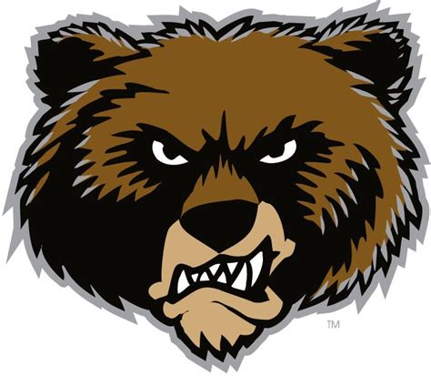 Memphis fans have it tough knowing they're unlikely to beat the spurs in a single game. Grizzly bear Logos