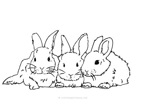 Free Bunny Coloring Pages For Kids Coloring Sheets
