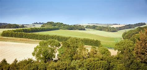 The Best Sussex Vineyard Tours 2021 Guide