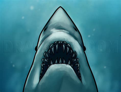Shark Jaws Drawing