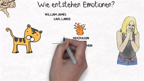 Was sind emotionen, wie entstehen emotionen im gehirn? ich.kurs Emotionen erkennen: James-Lange-Theorie der ...