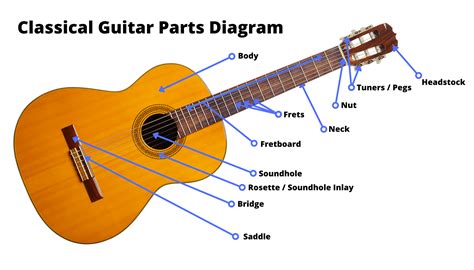 Parts Of The Guitar Diagram