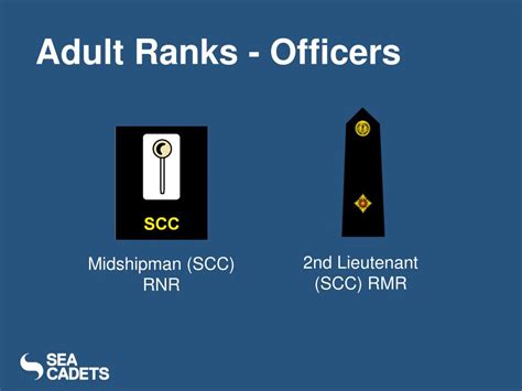 Ppt Sea Cadet Corps Ranks And Rates Powerpoint Presentation Free