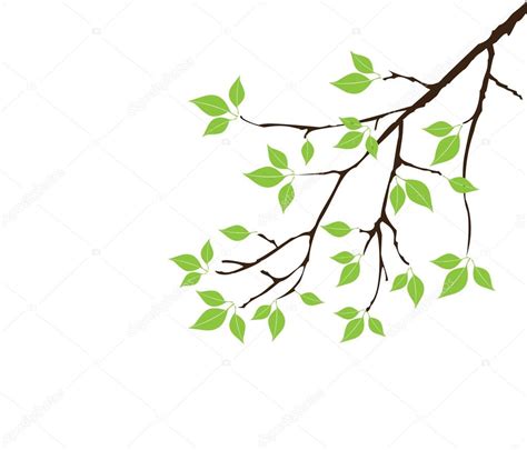 Vector Tree Branch With Green Leaves Premium Vector In Adobe